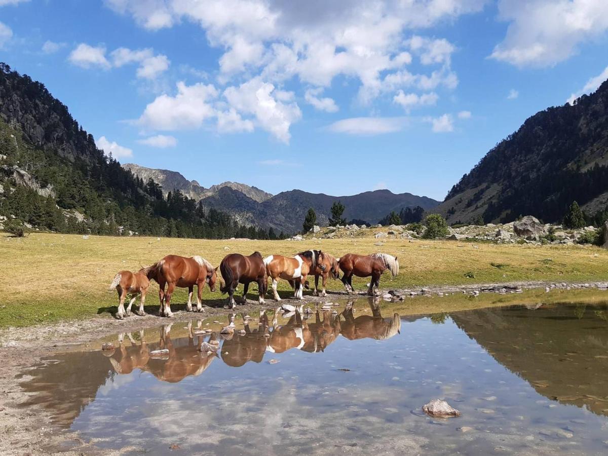 Studio Proche Centre Pour 2/4 Personnes, Cuisine Equipee, Pres Thermes Et Telecabines - Fr-1-234-281 Cauterets Kültér fotó